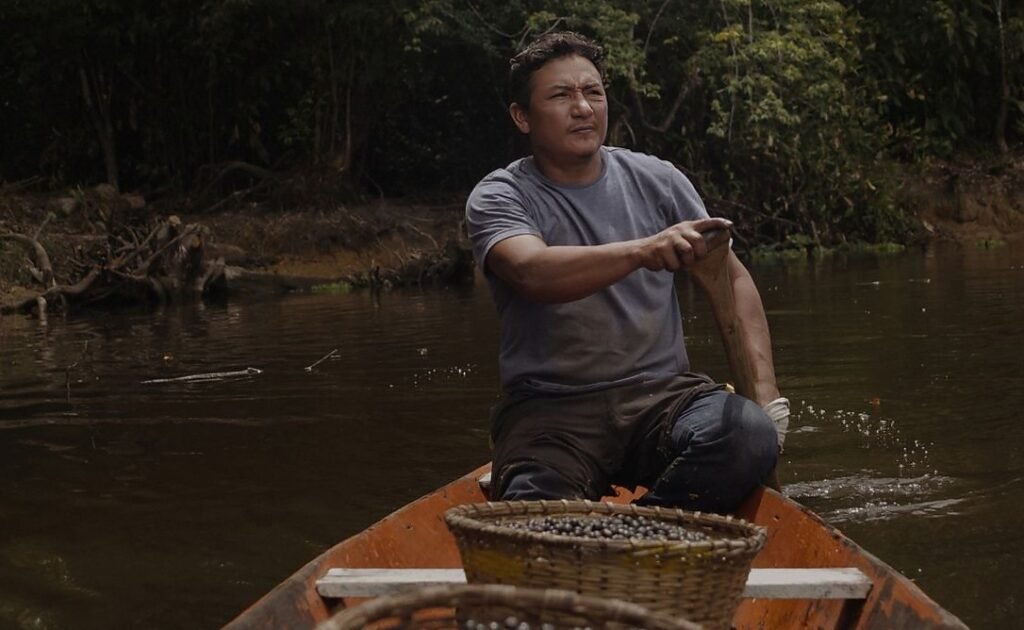 Bioconhecimento e inovação na Amazônia estão conectados? Webinar gratuito abre o diálogo